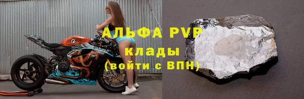 амф Бородино