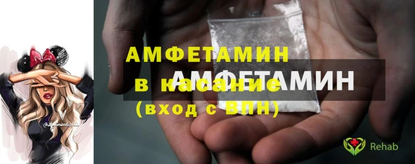 амф Бородино