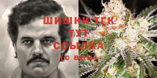 Альфа ПВП Бугульма