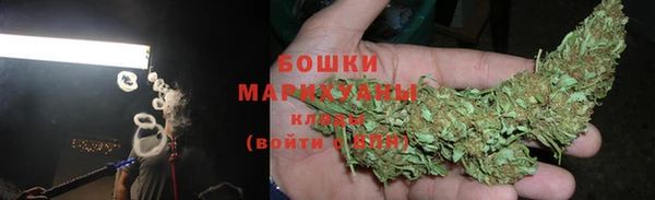 шишки Бронницы