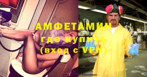 шишки Бронницы