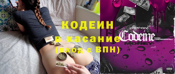 амф Бородино