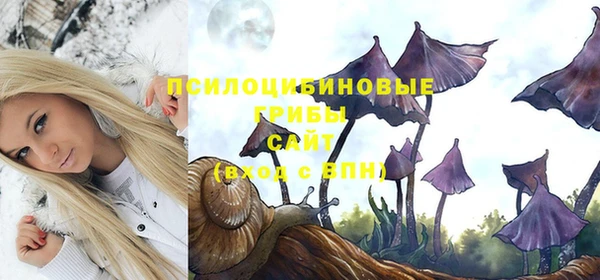 Альфа ПВП Бугульма