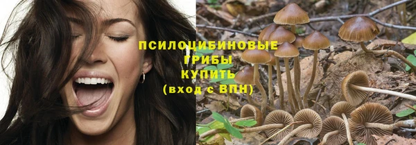 Альфа ПВП Бугульма