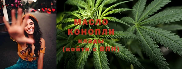 амф Бородино