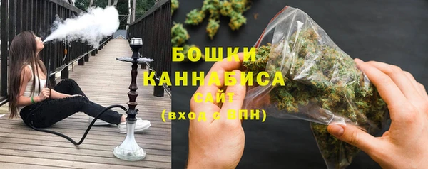 амф Бородино