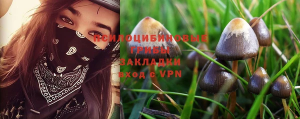 амф Бородино
