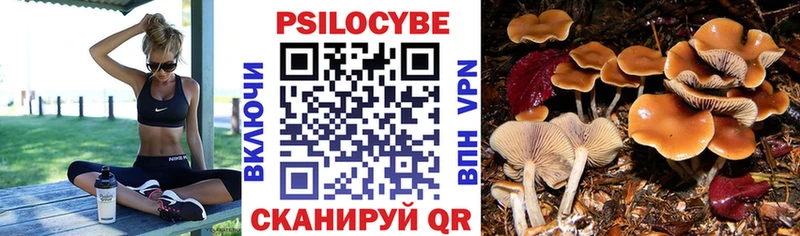 omg как зайти  Миллерово  Псилоцибиновые грибы Magic Shrooms  сколько стоит 